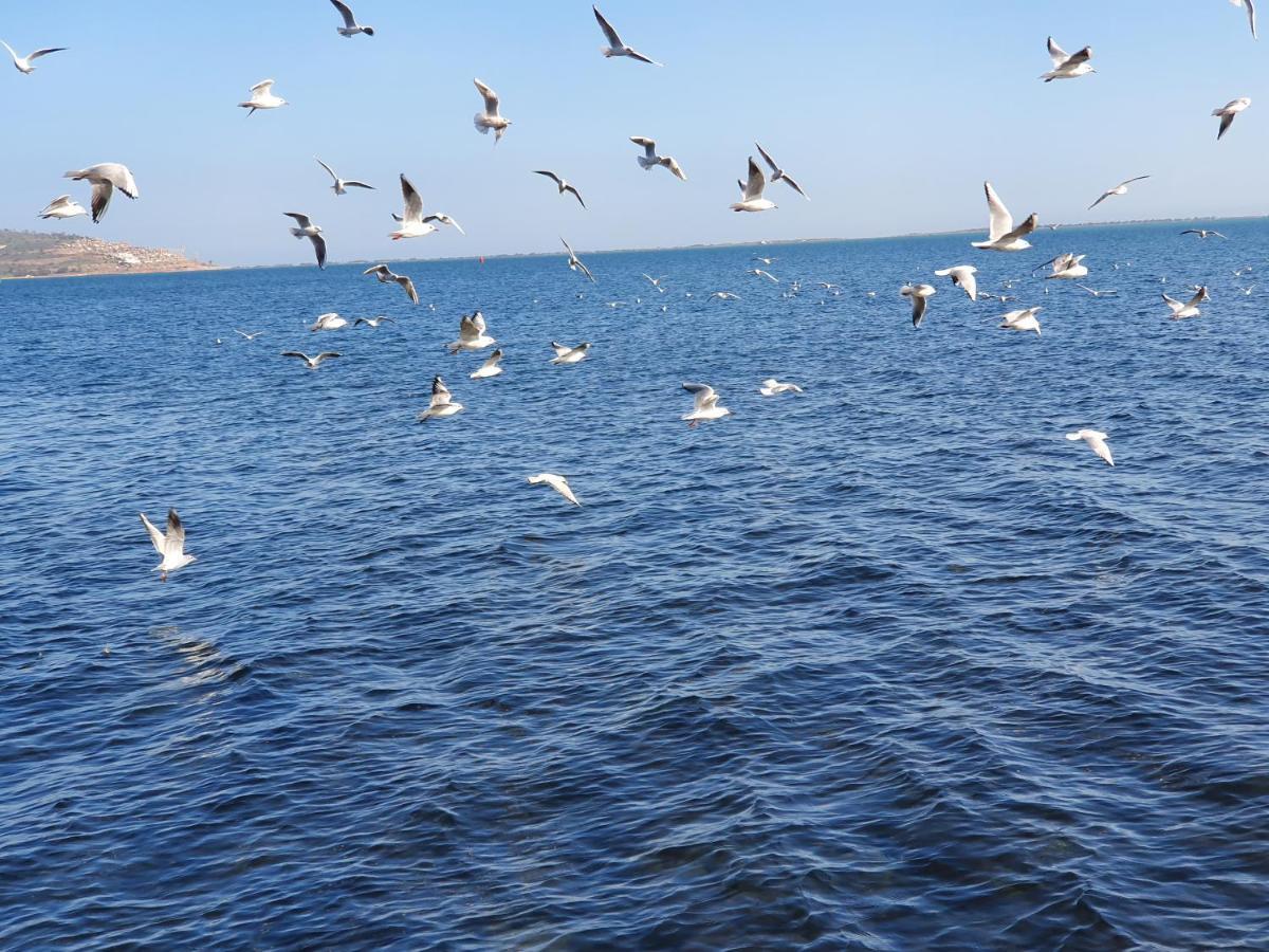 Apartment Ayoub -For Families Only- Nador Dış mekan fotoğraf
